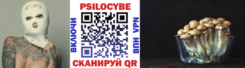 Псилоцибиновые грибы Magic Shrooms как найти закладки Медногорск